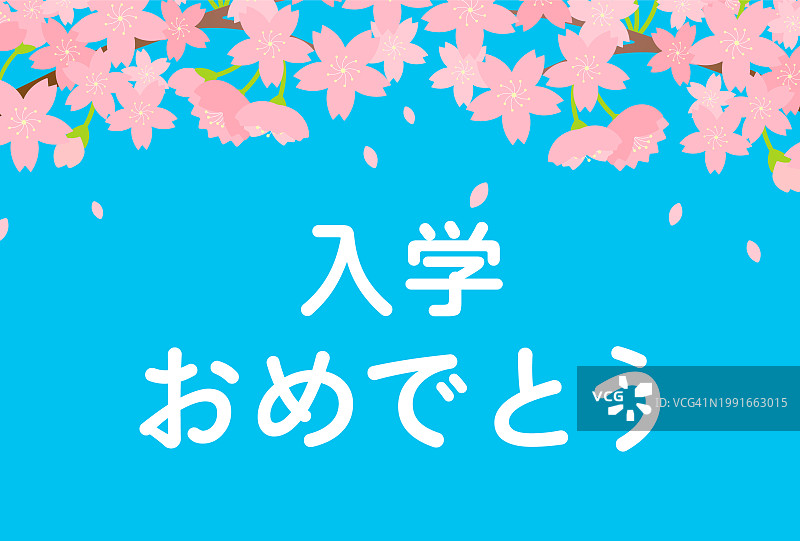 祝贺你入学。蓝天樱花。图片素材