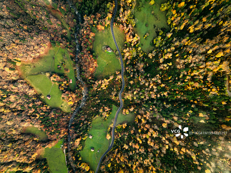 瑞士因特拉肯的空中俯瞰道路和树木。图片素材