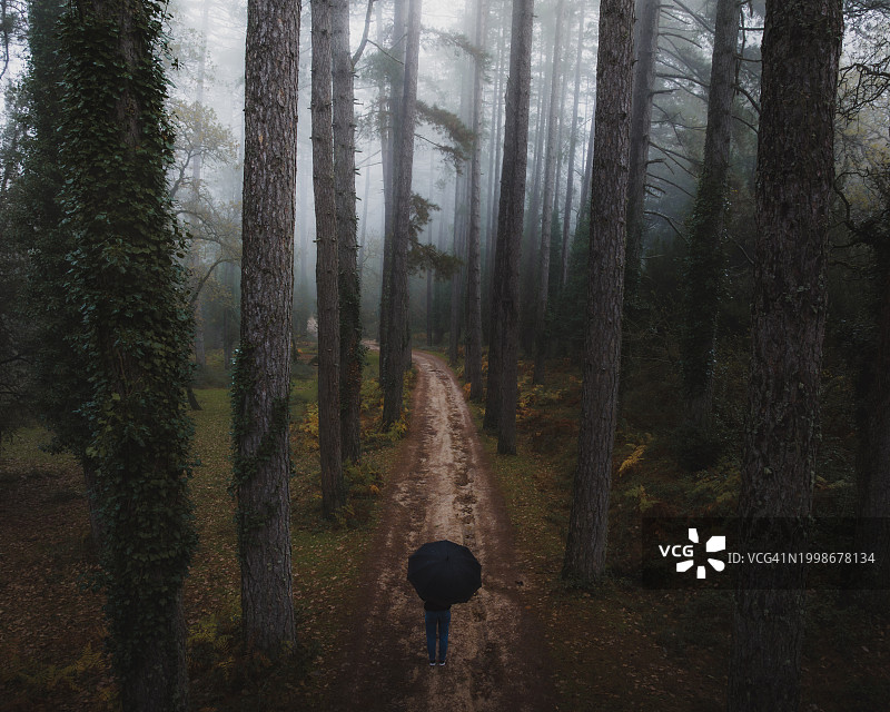 一个女人在森林里行走的后视图图片素材
