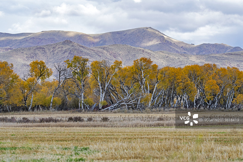 美国，爱达荷州，贝尔维尤，太阳谷附近秋天的田野和山丘图片素材