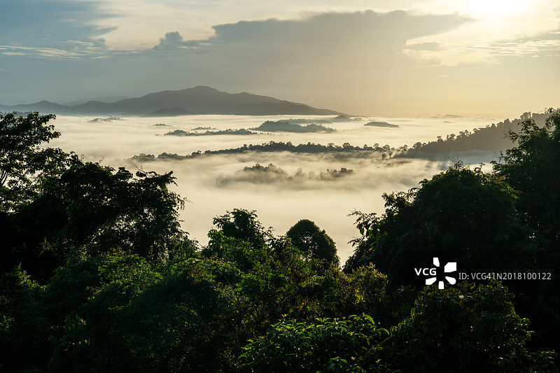 丹努姆山谷热带雨林的日出图片素材