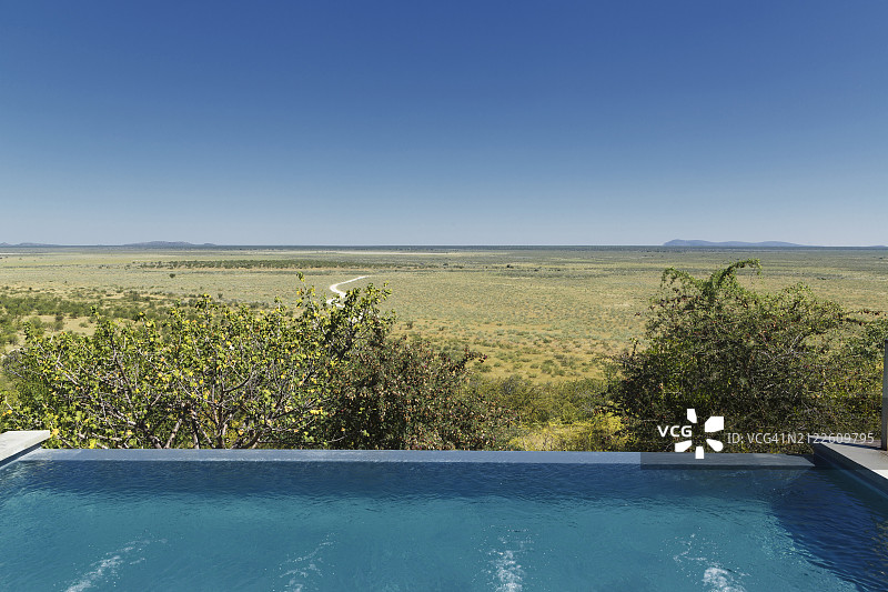 非洲。大草原上的游泳池图片素材