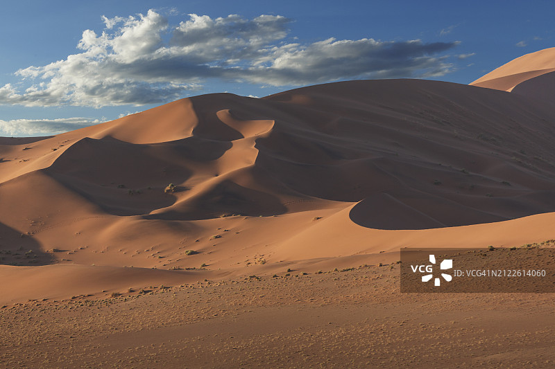 纳米比亚。纳米布沙漠中巨大的沙丘图片素材