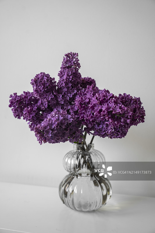 白桌子上靠白墙的玻璃花瓶里放着一束紫丁香花。春季家居装饰细节。图片素材