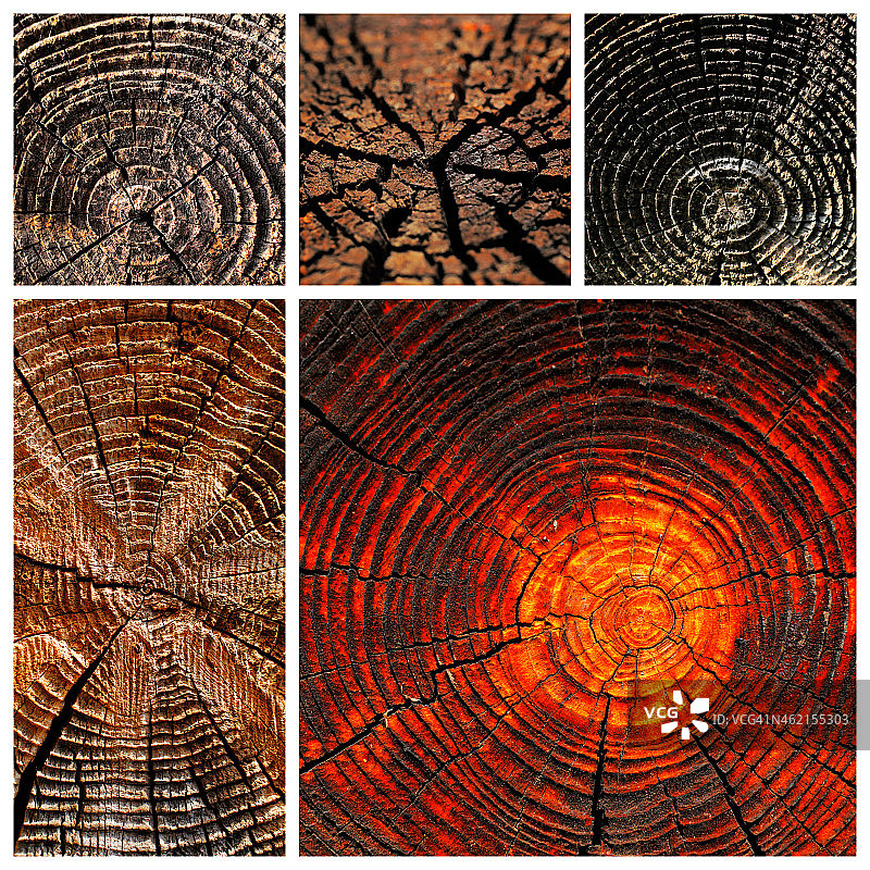 老晒干木材和木材动机图片素材