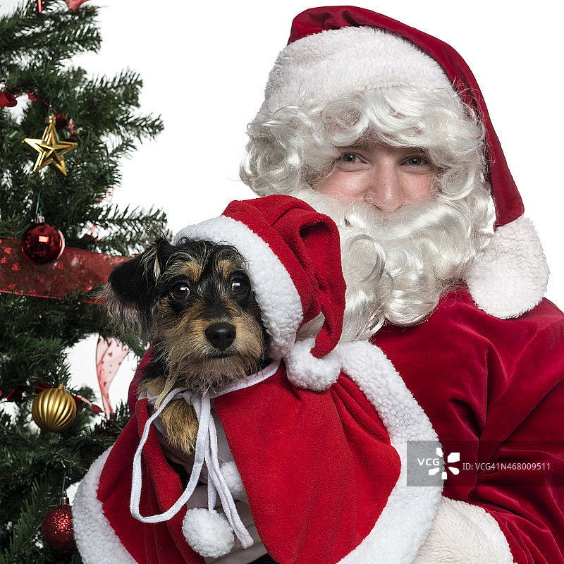 圣诞老人抱着哈巴狗的特写，孤立的图片素材