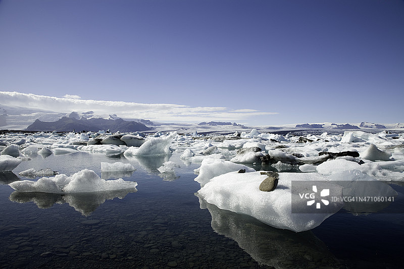浮冰冰岛图片素材