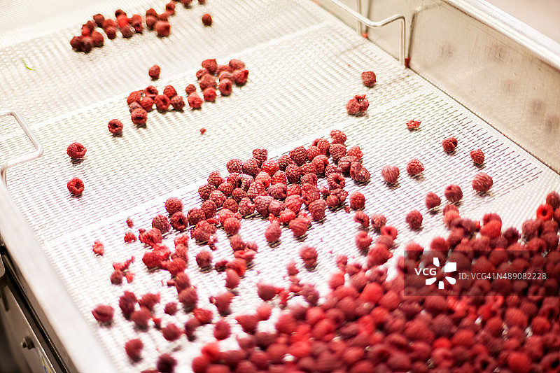 速冻树莓加工业务图片素材