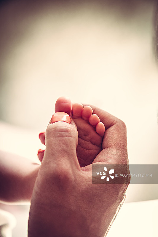 婴儿的脚在妈妈的手里图片素材