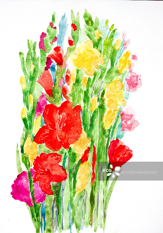 五颜六色的花的水彩画图片素材