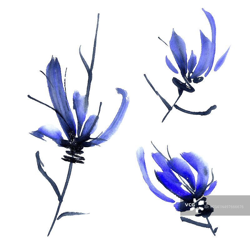 蓝花组图片素材