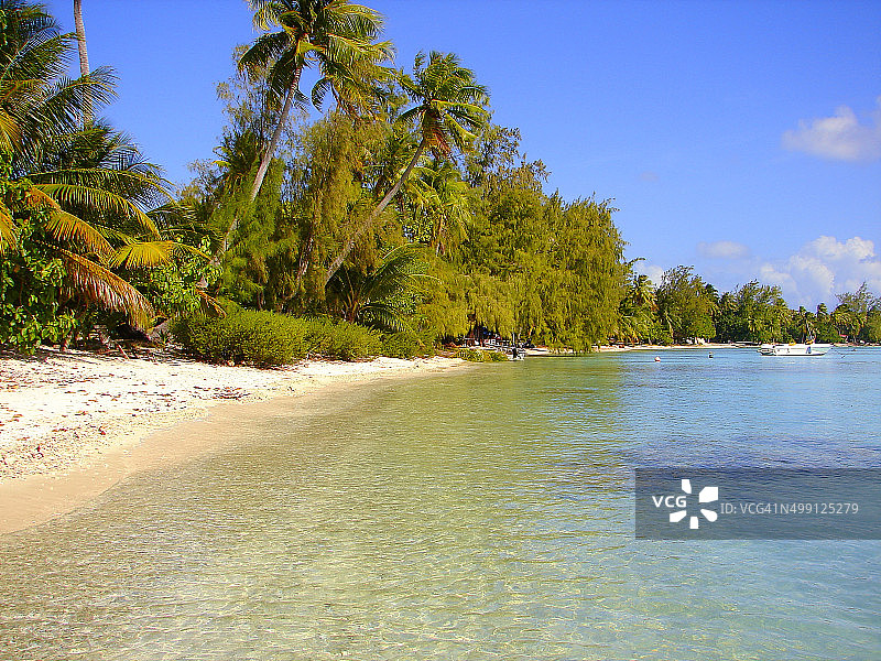 莫雷阿岛碧绿的海滩和绿色的景观，波利尼西亚图片素材