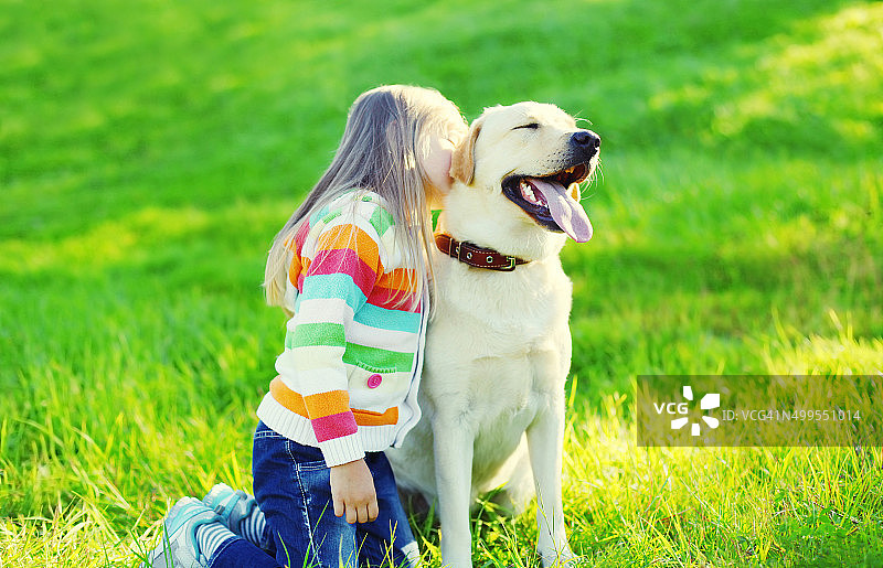 一个快乐的小孩和一只在草地上的拉布拉多寻回犬图片素材