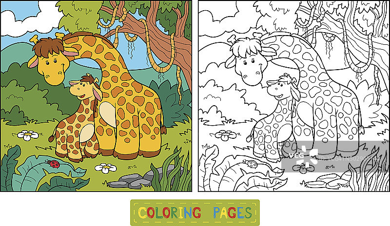 儿童涂色书(两只长颈鹿)图片素材