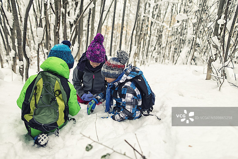孩子们在冬天的森林里观察动物的足迹图片素材