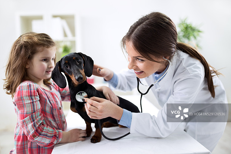 美丽的孩子和她的宠物在兽医图片素材