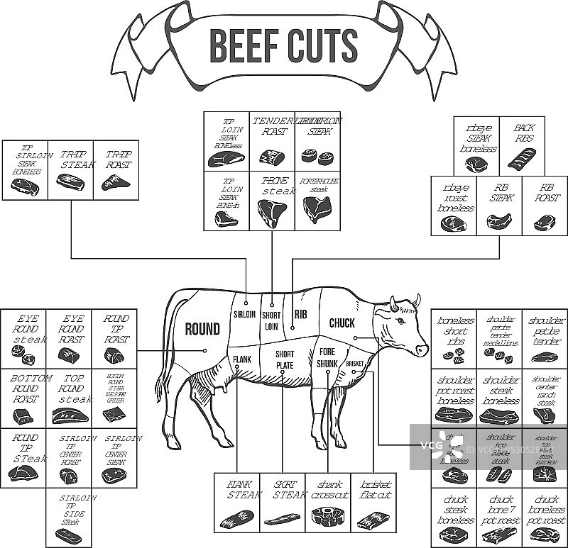 用于牛排和烤肉的牛肉切割方案。向量图片素材