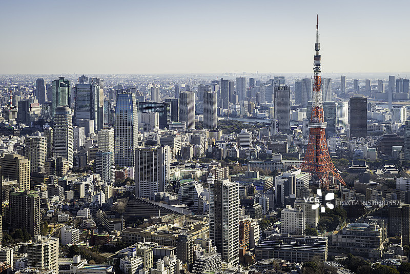 东京塔耸立在日本市中心的摩天大楼中图片素材