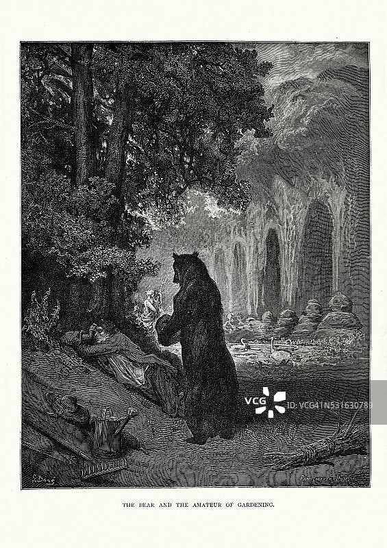 拉封丹的寓言-熊和园艺爱好者图片素材