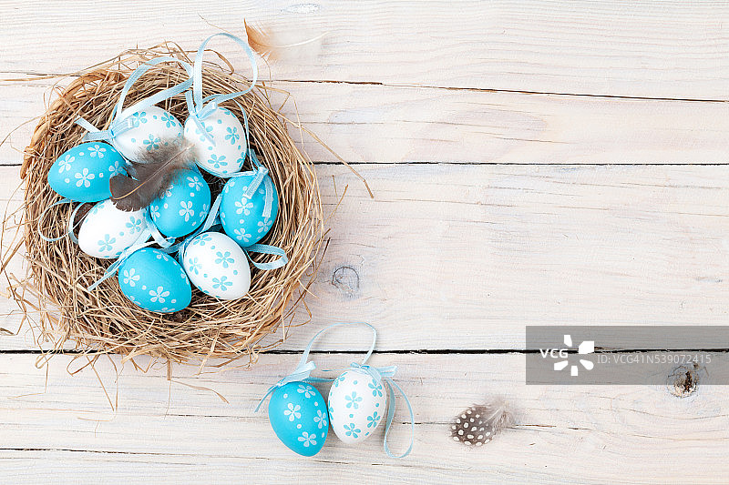 复活节背景与蓝色和白色的蛋在巢图片素材