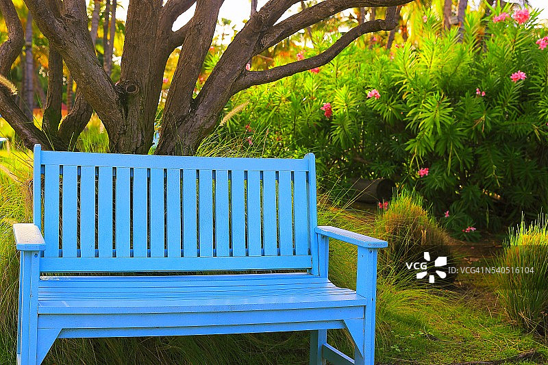 花园长椅，休息在田园诗般的绿色公园的春天图片素材
