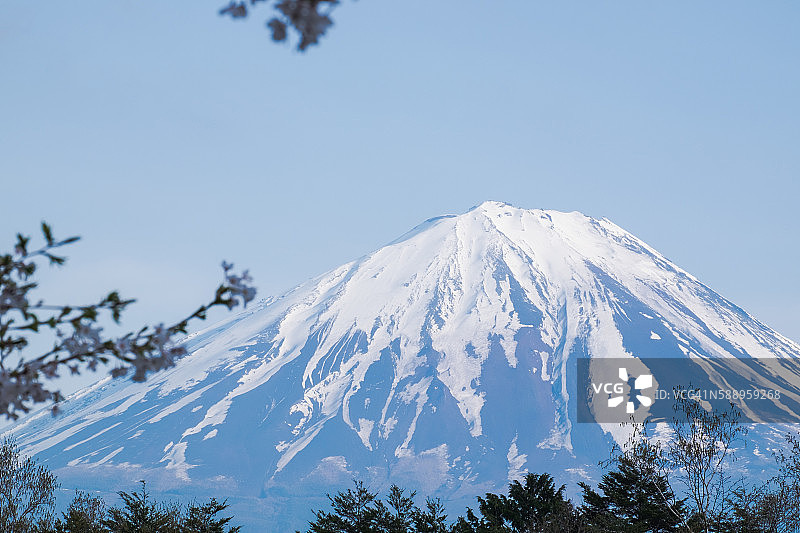 春天富士山从Saiko湖图片素材