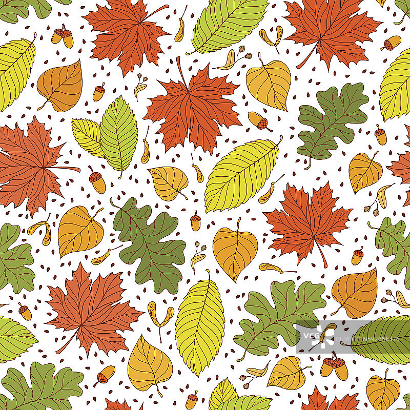 秋季有种子和叶子的无缝图案图片素材