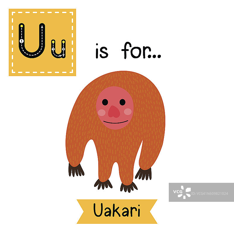 字母U跟踪。站Uakari。图片素材