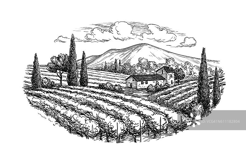 手绘葡萄园景观图片素材