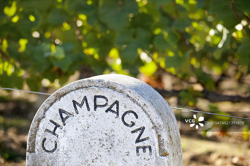 石头香槟葡萄园标志图片素材