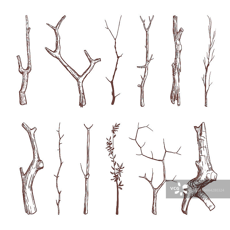 手绘木枝、木棒、树枝矢量质朴装饰元素图片素材