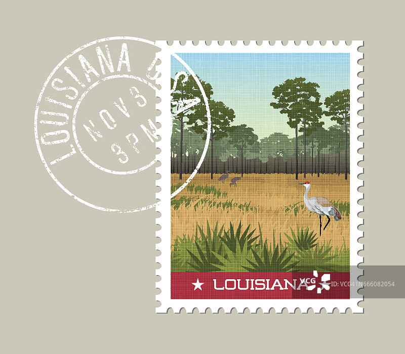 路易斯安那邮票设计。湿地自然保护区沙丘鹤和松树矢量图。图片素材