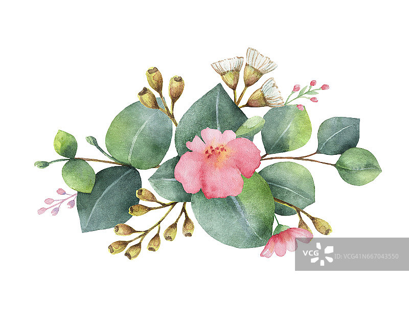 水彩手绘花束与绿色桉树和粉红色的花。图片素材