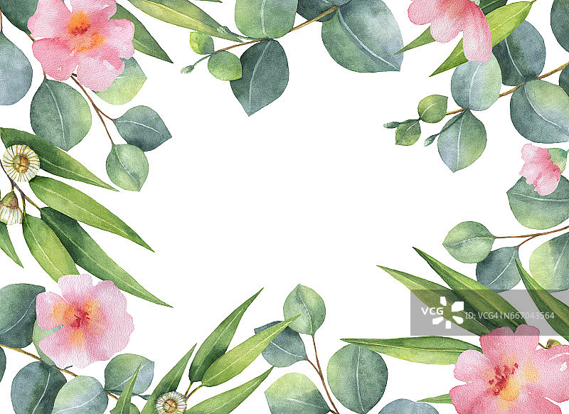 水彩手绘方形花环与绿色桉树和粉红色的花。图片素材