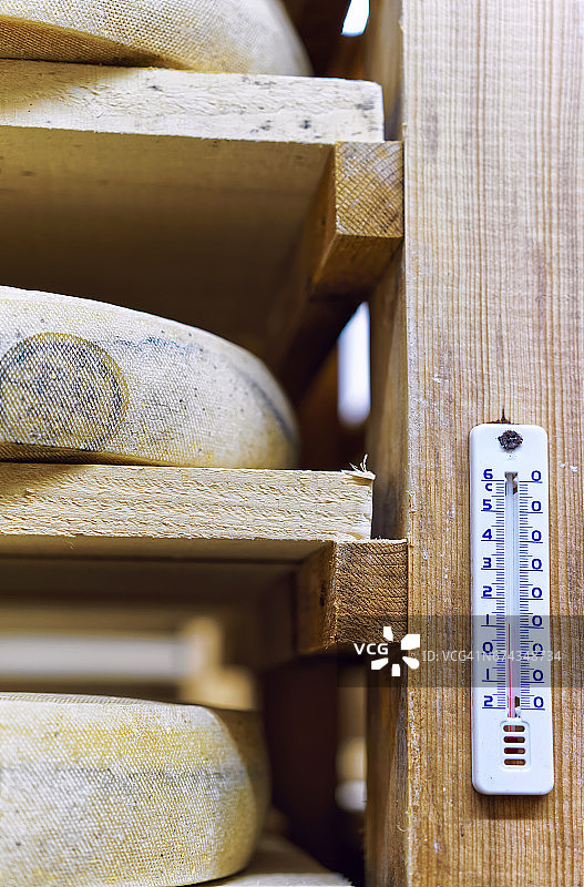 陈年奶酪在成熟的酒窖里，弗朗西乳业的孔德图片素材