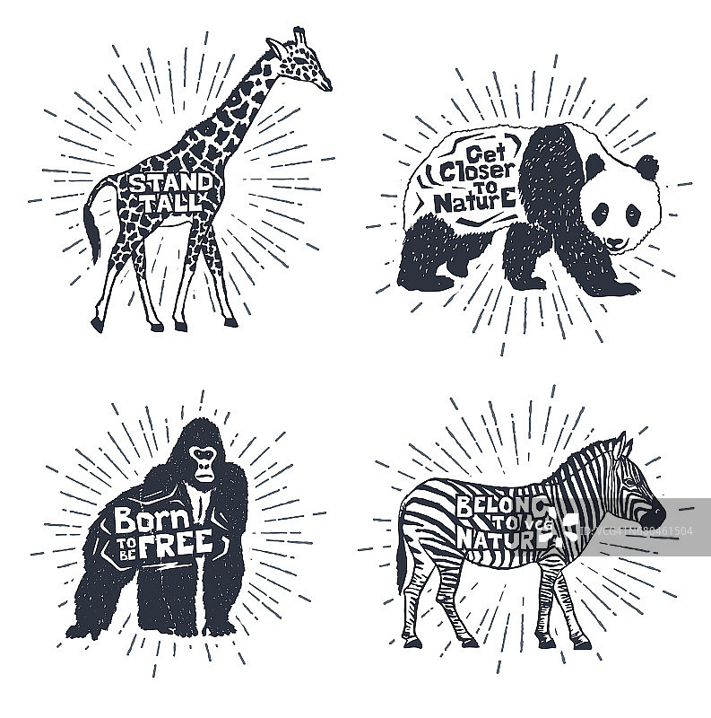 一套手绘标签与动物矢量插图和字母。图片素材