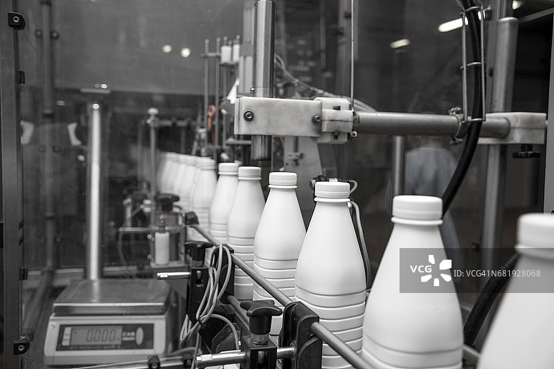 现代乳品厂传送带上的白色塑料奶瓶(黑白概念)图片素材