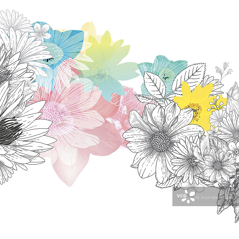 花卉Handrawn背景图片素材