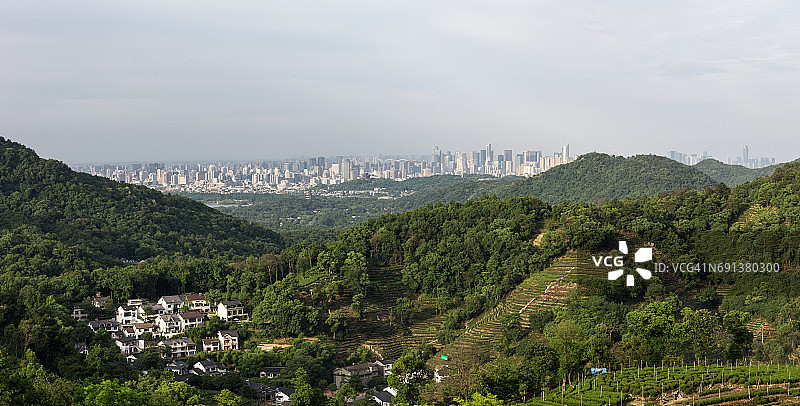 在中国杭州城市的天际线，宁静的村庄茶园全景图片素材