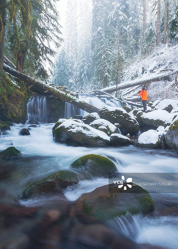 冬季森林里的冬溪徒步旅行者图片素材