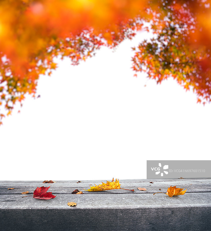 秋天的背景与木制的长凳图片素材