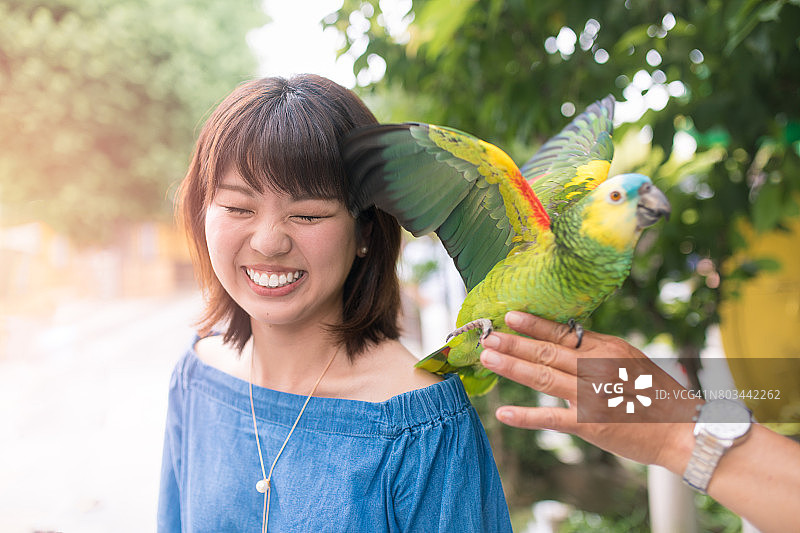 年轻女子把一只鹦鹉放在肩上图片素材