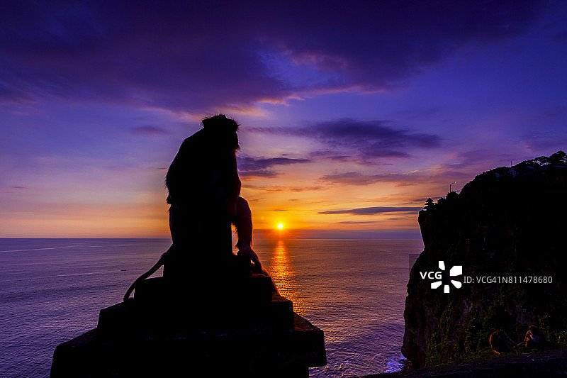 印度尼西亚巴厘岛乌鲁瓦图悬崖上日落时猴子的剪影图片素材