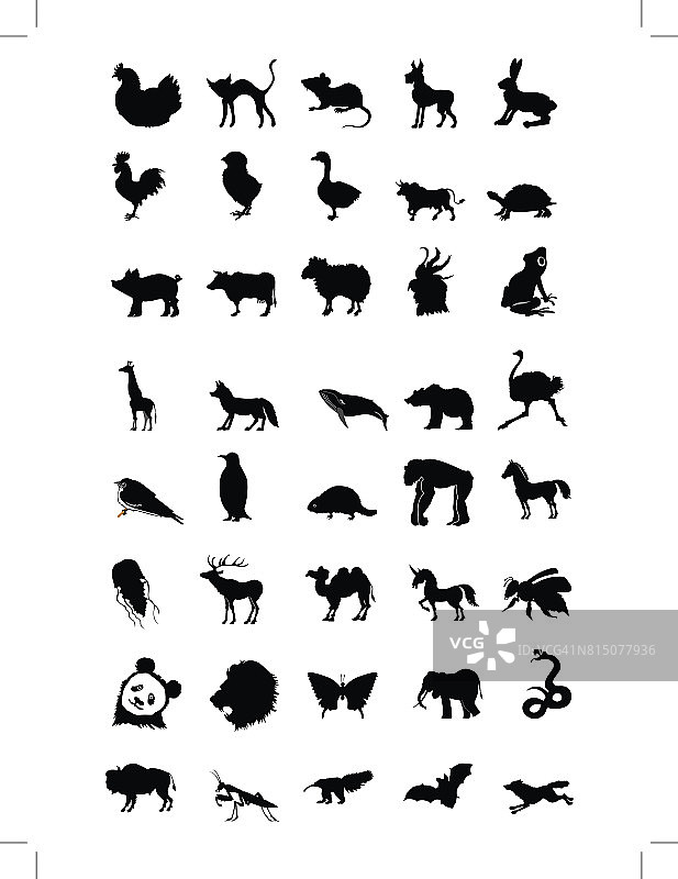 动物的世界图片素材