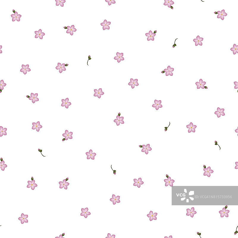 无缝花型勿忘我粉色花。肌炎温和的花图案在白色的背景，矢量，eps 10图片素材