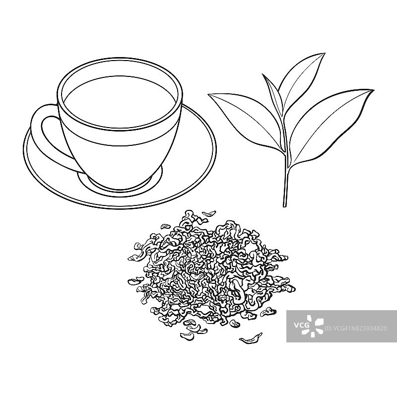 绿茶杯，鲜叶和干叶图片素材