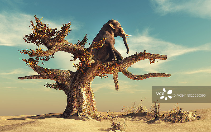在超现实的风景中，大象在一棵干燥的树上图片素材