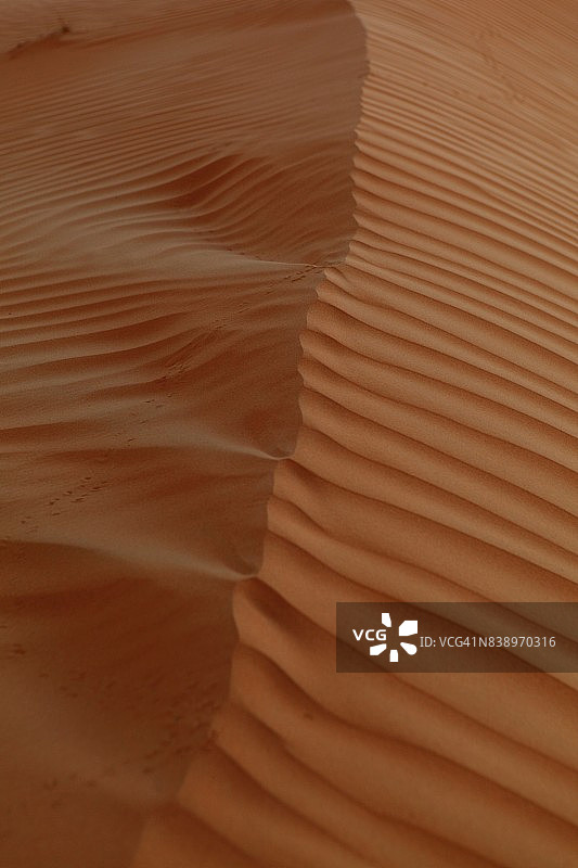 风在沙漠沙丘上激起涟漪图片素材