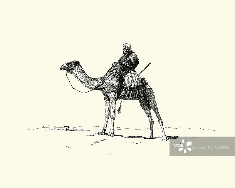 骑骆驼的阿拉伯人，19世纪图片素材