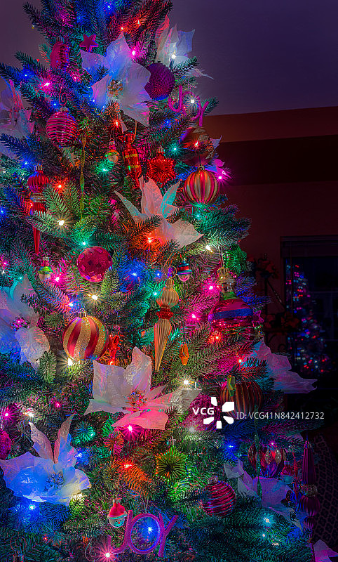 圣诞树与白色的一品红和装饰品(P)图片素材